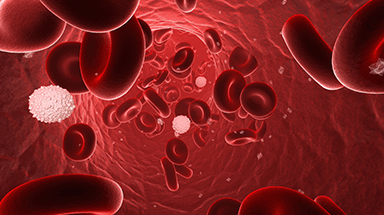 blood cells callout