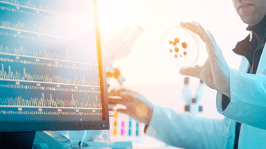 Scientist holding a petri dish, looking at a computer screen