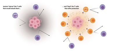 Delgoffe Nature Fig v3 release